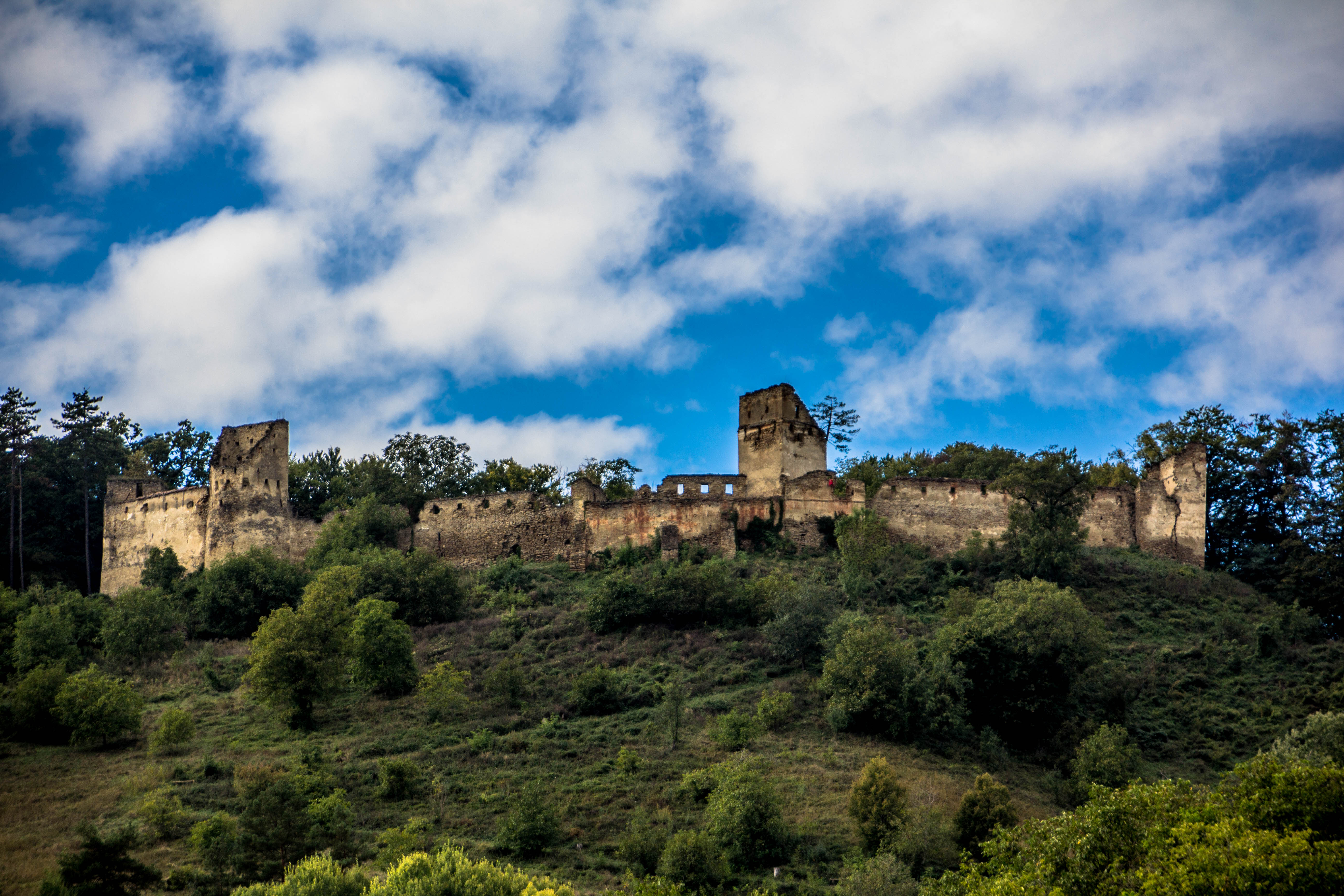 Fortress Saschiz